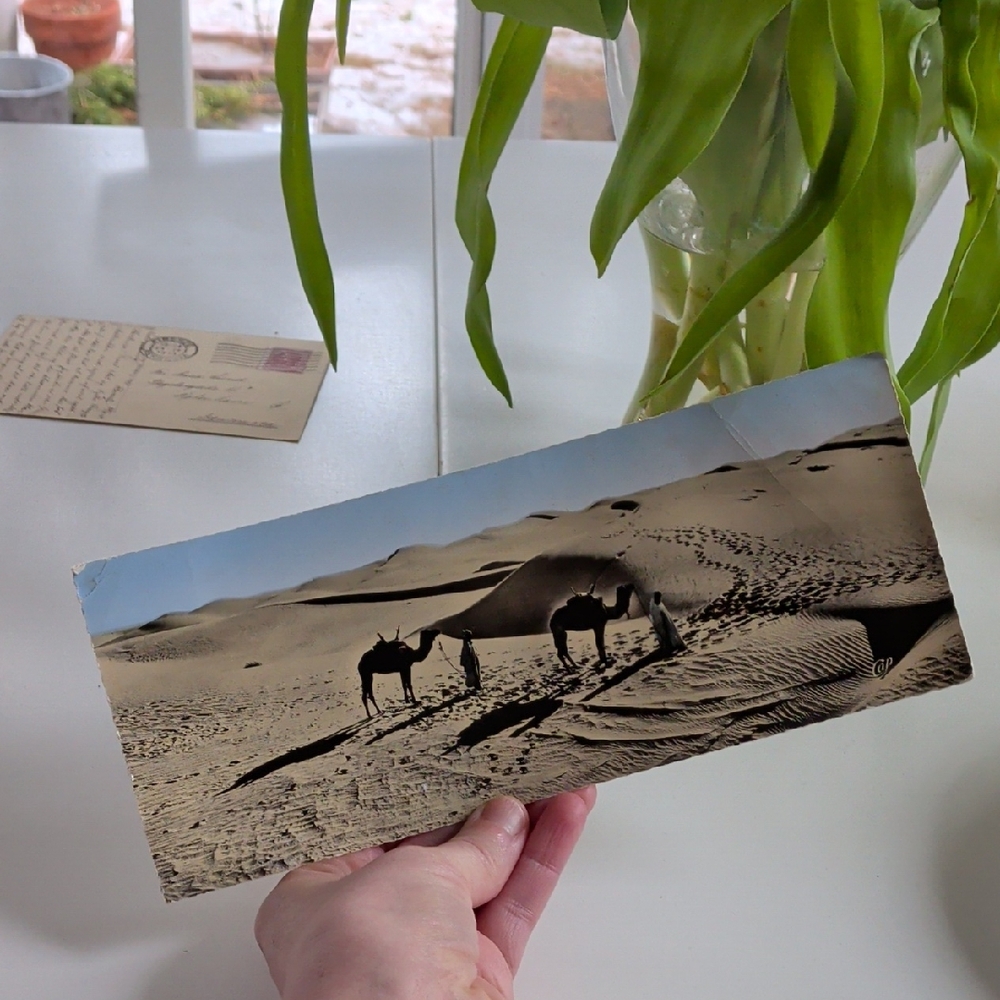 ❤️5/10 Used vintage Postcard